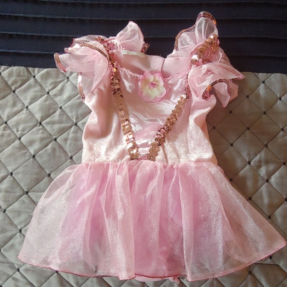 Little Pink Fairy Princess Dress